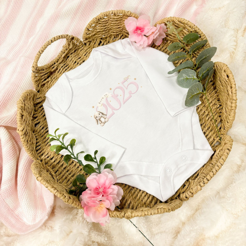 Baby 2025 Bodysuit